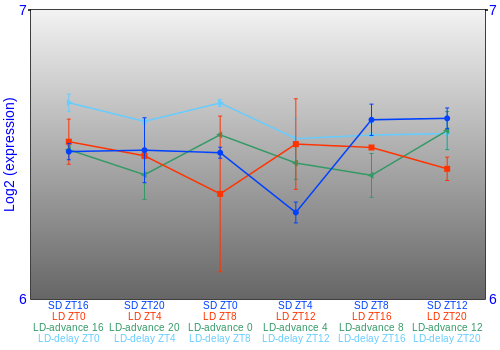 Expression graph