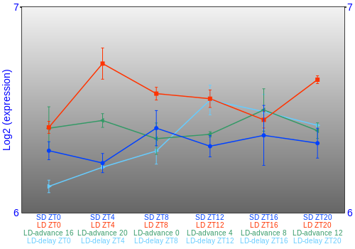 Expression graph