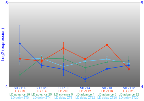Expression graph