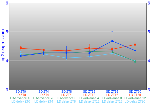 Expression graph