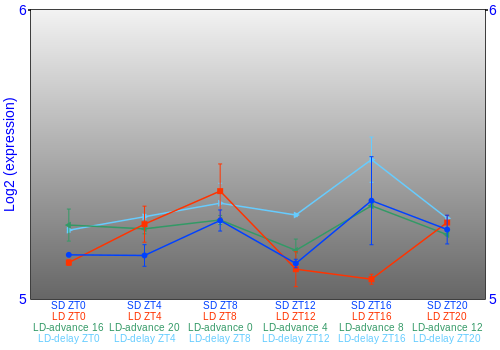 Expression graph