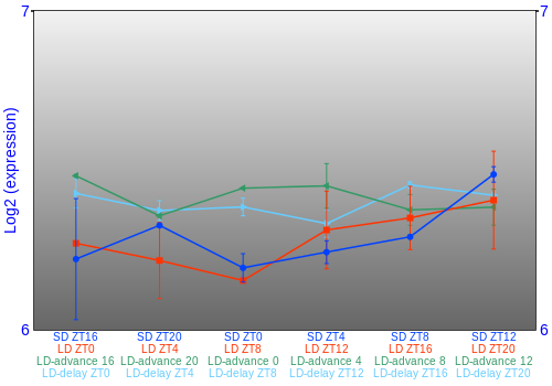 Expression graph