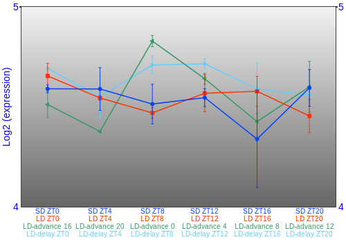 Expression graph