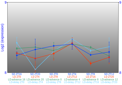 Expression graph