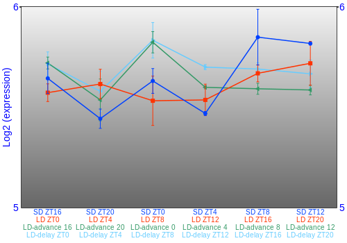 Expression graph