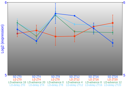 Expression graph