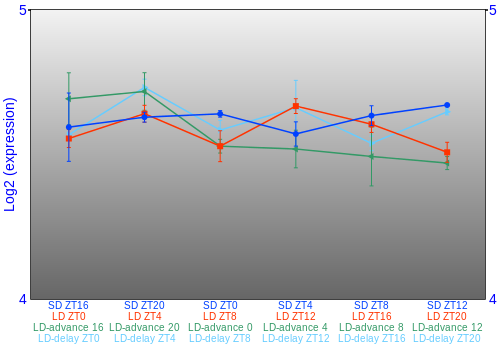 Expression graph