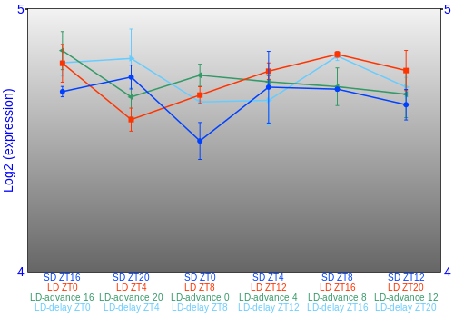 Expression graph
