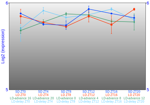 Expression graph