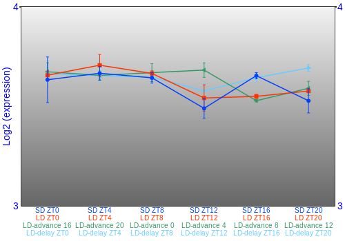Expression graph