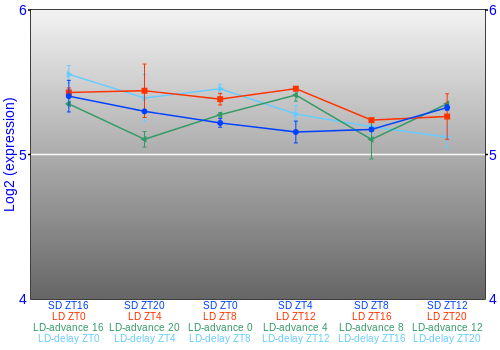 Expression graph