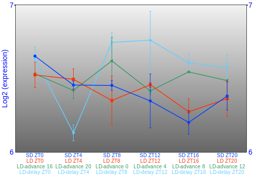 Expression graph