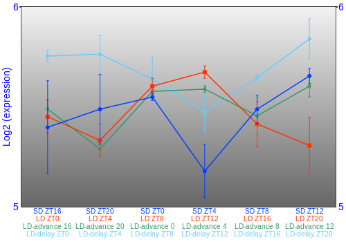 Expression graph