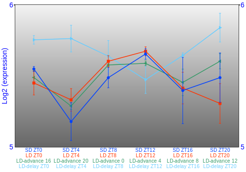 Expression graph