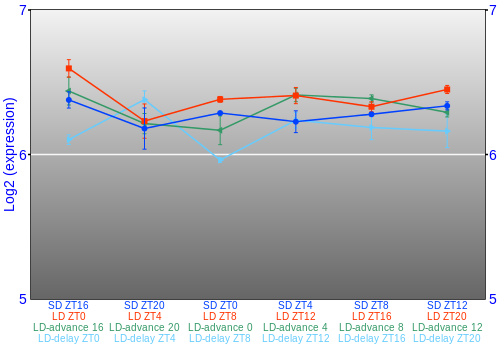 Expression graph