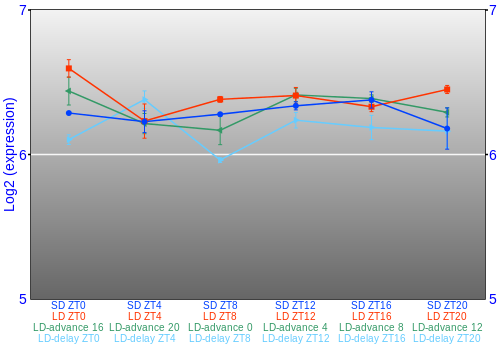 Expression graph
