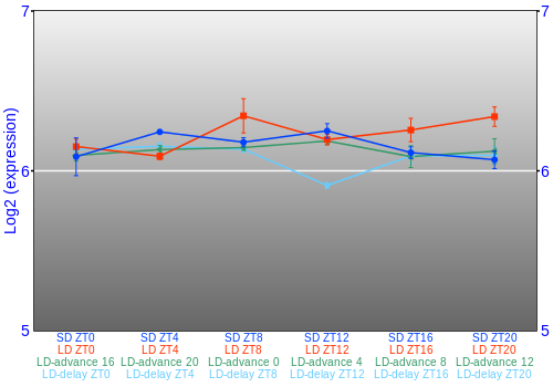 Expression graph