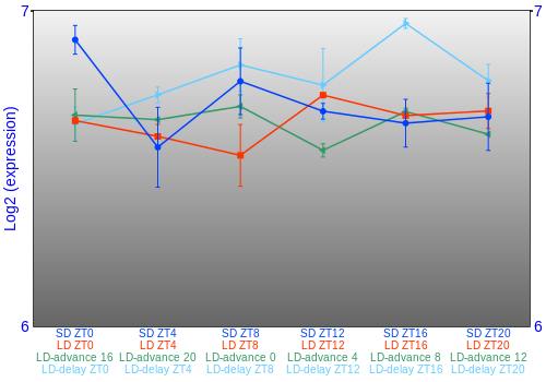Expression graph