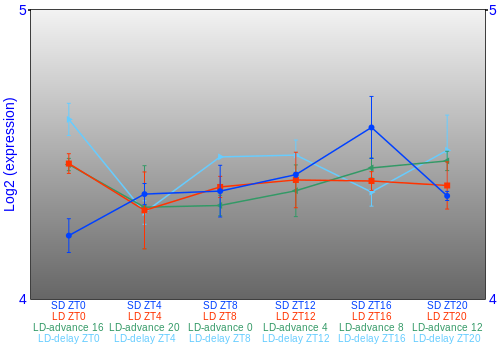 Expression graph