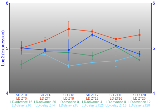 Expression graph