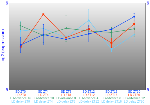 Expression graph