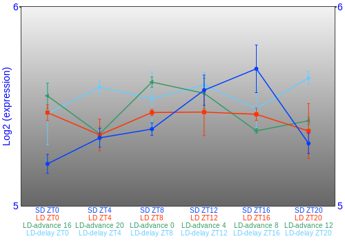 Expression graph