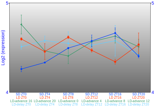 Expression graph