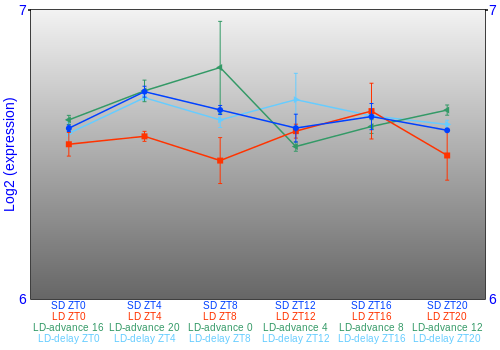Expression graph