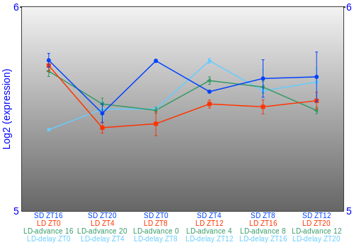 Expression graph