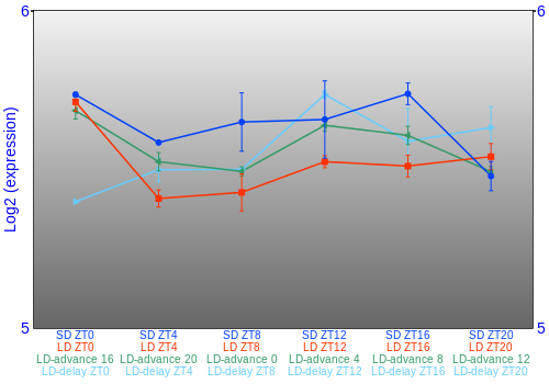 Expression graph