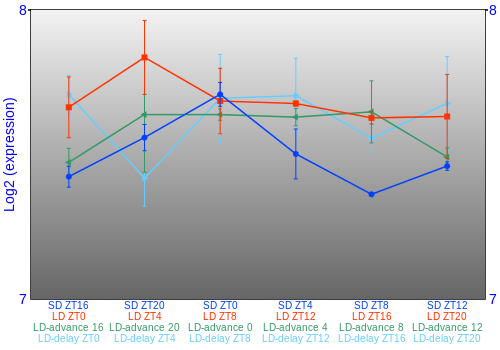 Expression graph