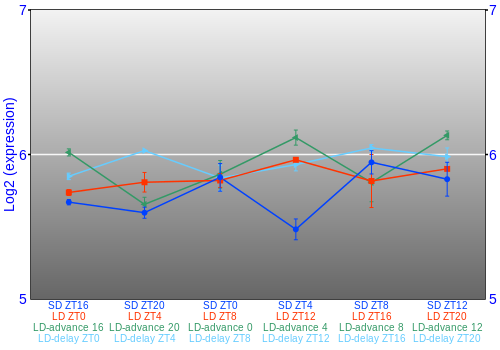 Expression graph