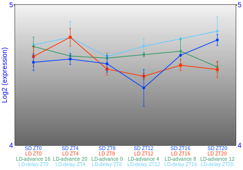 Expression graph