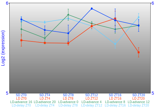 Expression graph