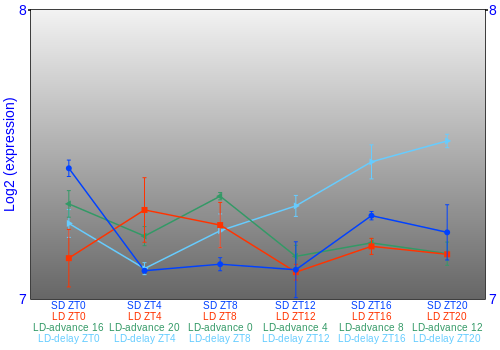 Expression graph