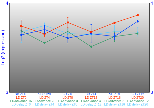 Expression graph