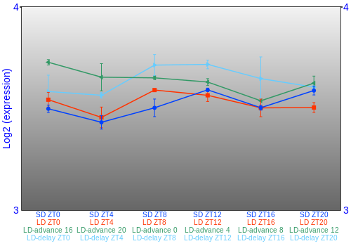 Expression graph