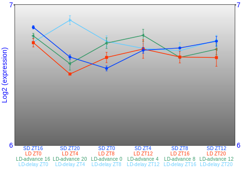 Expression graph