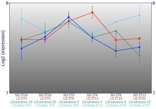 Expression graph