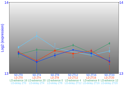 Expression graph