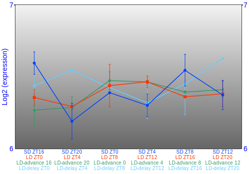 Expression graph