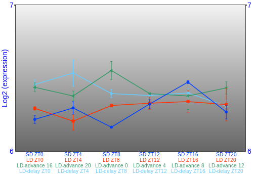 Expression graph