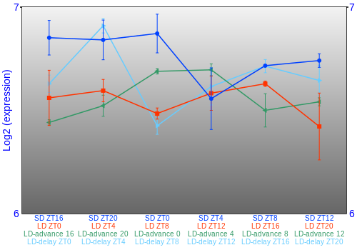 Expression graph