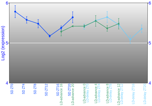 Expression graph