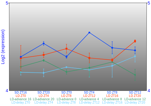 Expression graph
