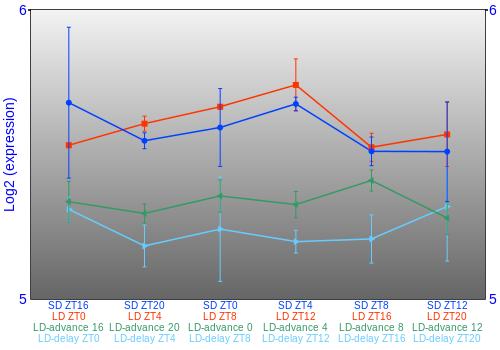 Expression graph