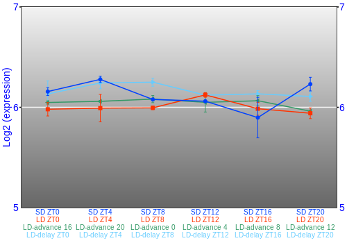 Expression graph