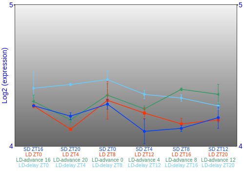 Expression graph