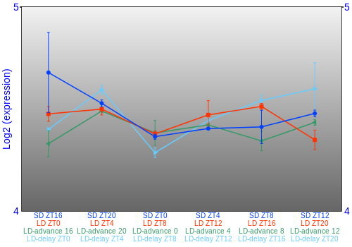 Expression graph