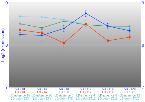 Expression graph